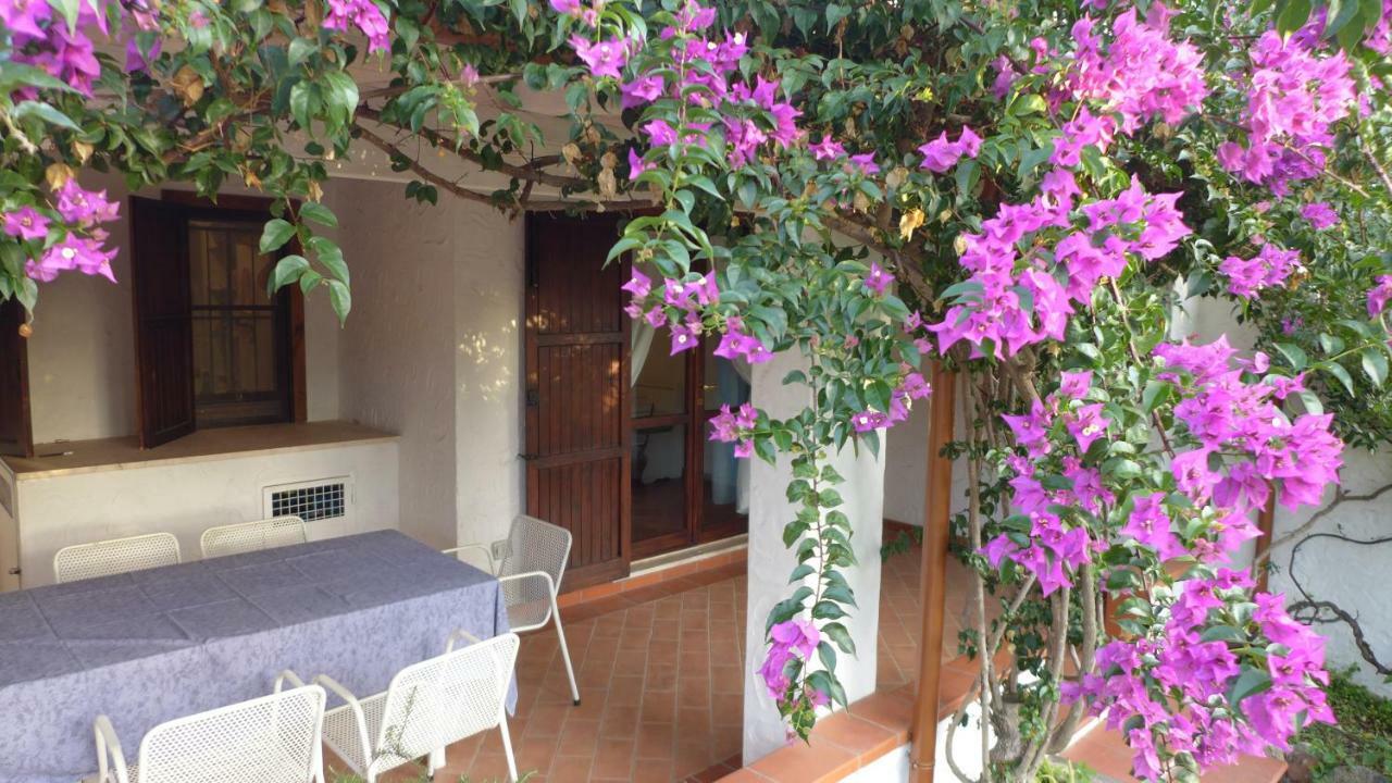 B&B Vacanza Facile Costa Rei Εξωτερικό φωτογραφία