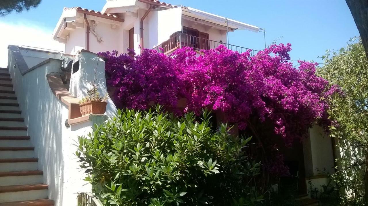 B&B Vacanza Facile Costa Rei Εξωτερικό φωτογραφία