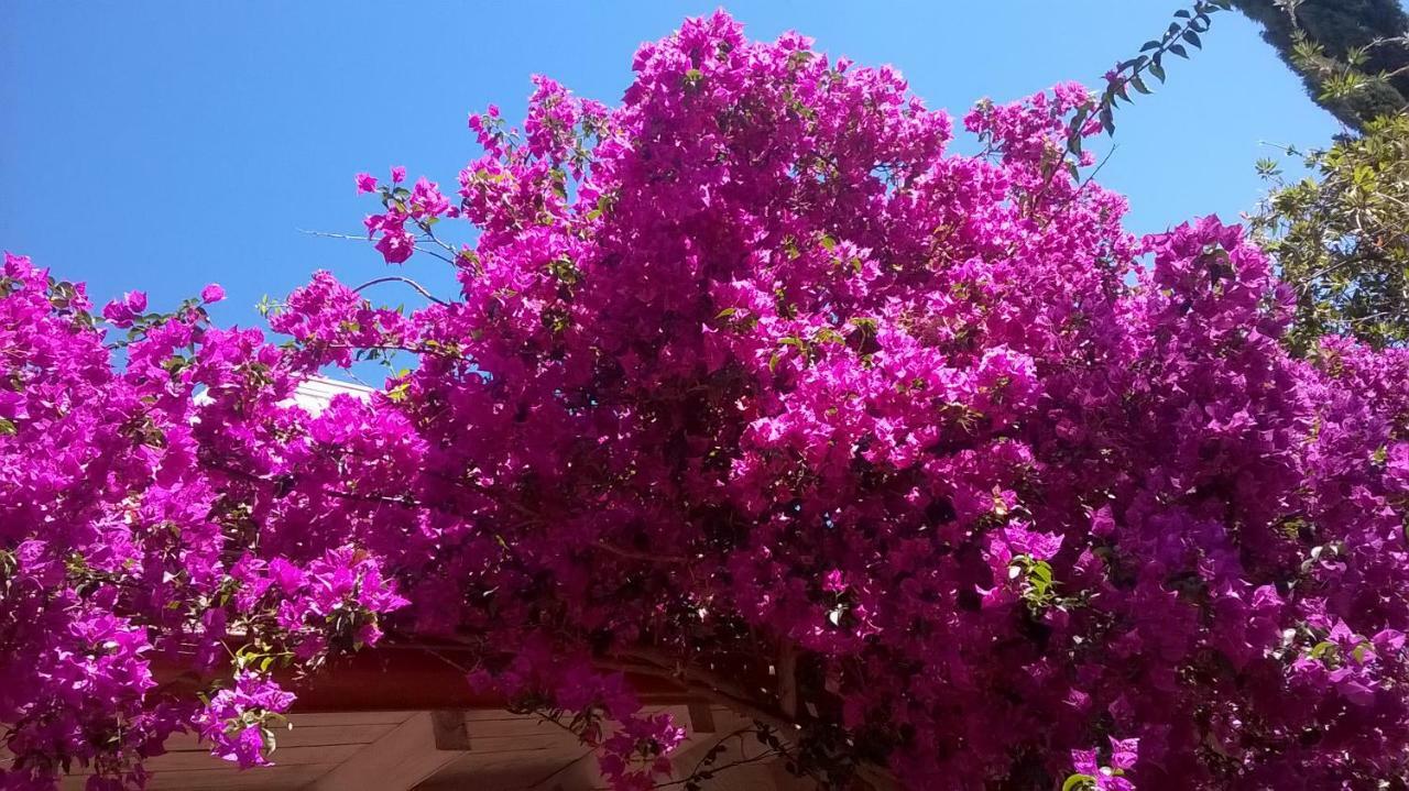 B&B Vacanza Facile Costa Rei Εξωτερικό φωτογραφία